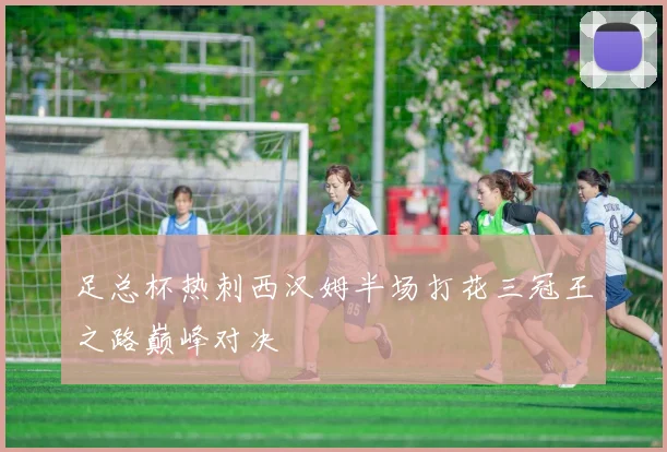 足总杯热刺西汉姆半场打花三冠王之路巅峰对决