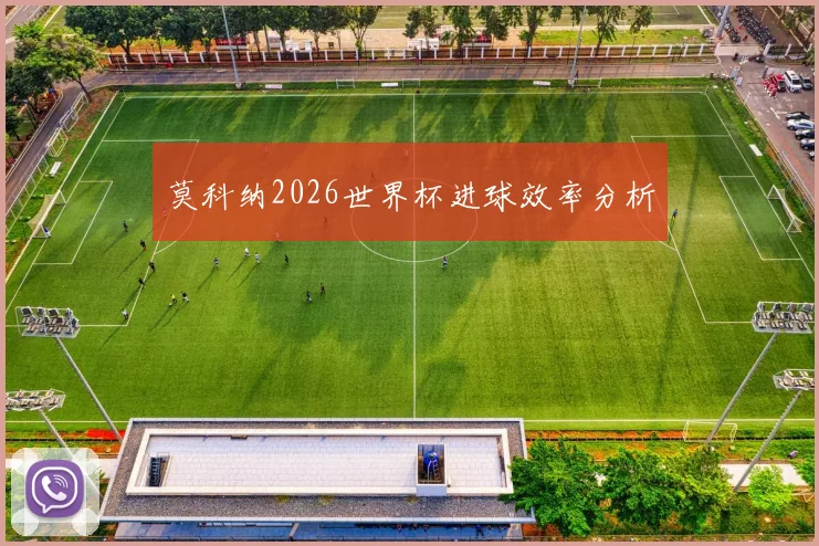 莫科纳2026世界杯进球效率分析
