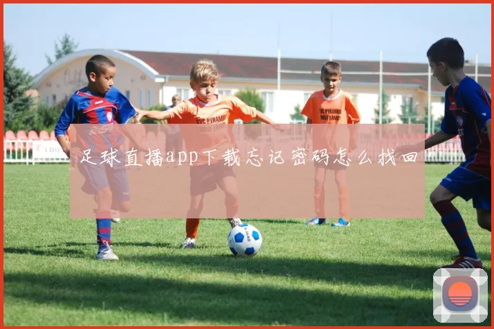 足球直播app下载忘记密码怎么找回