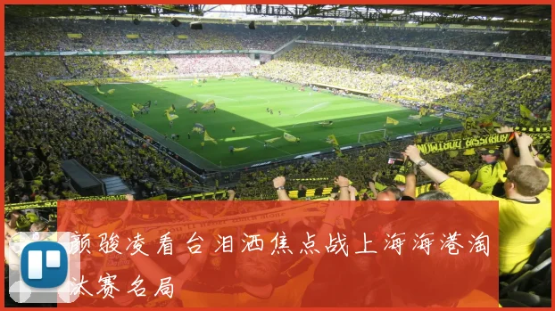 颜骏凌看台泪洒焦点战上海海港淘汰赛名局