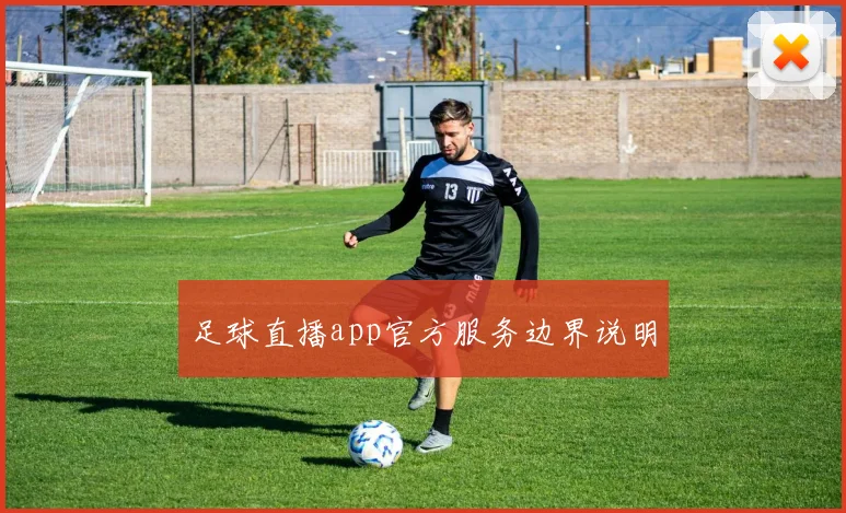 足球直播app官方服务边界说明